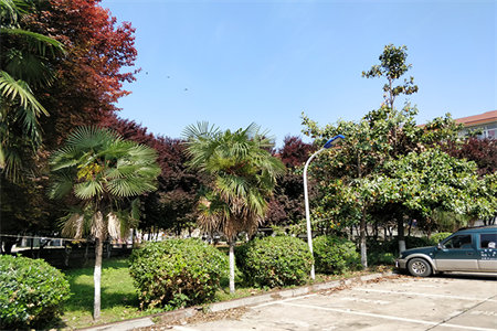 农村信用社家属院3室2厅1卫75万150m2简单装修出售